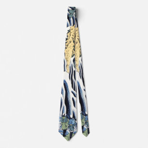 Gravata Cascata de Kirifuri perto da montanha Housai de Ku