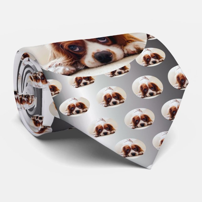Gravata Cavalier King Charles Spaniel (Rolled)
