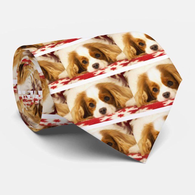 Gravata Cavalier King Charles Spaniel floco de neve (Rolled)