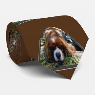 Gravata Cavalier Spaniel Popout Art, Neck Tie