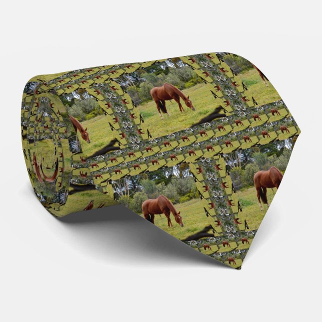 Gravata Cavalo Castanho Espancado Em Paddock, (Rolled)