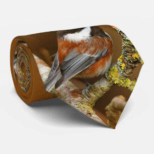 Gravata Chickadee Castanha-Suportado bonito na árvore de