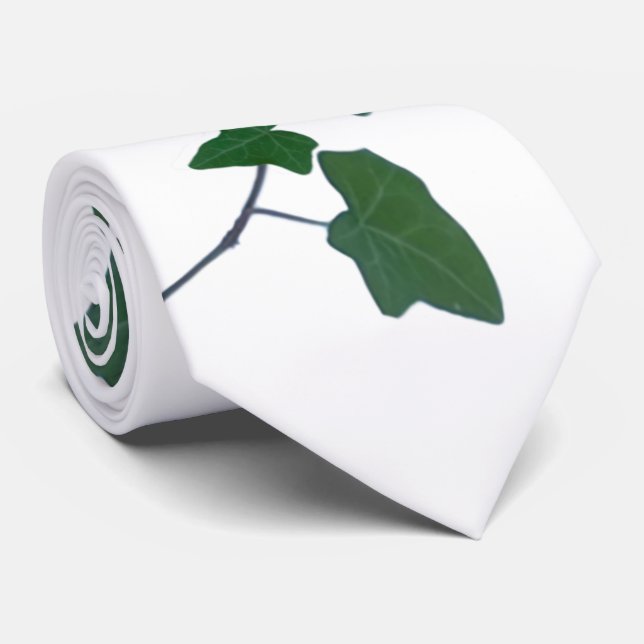 Gravata Clássica - Cor d'água Verde - Ivy (Rolled)