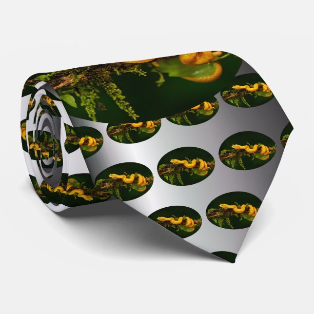 Gravata Cobra do Viper venenoso da Costa Rica (Rolled)