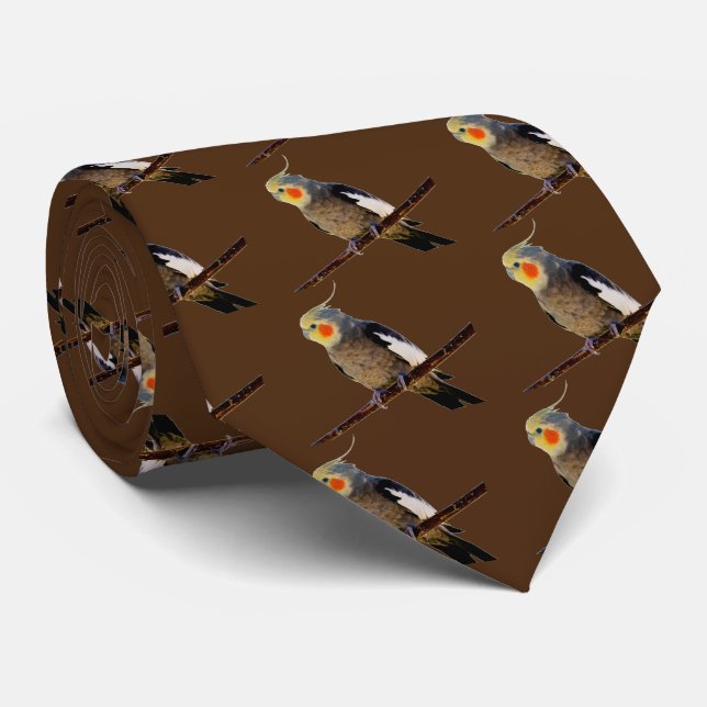 Gravata Cockatiel, Ninfhicus hcus (Rolled)
