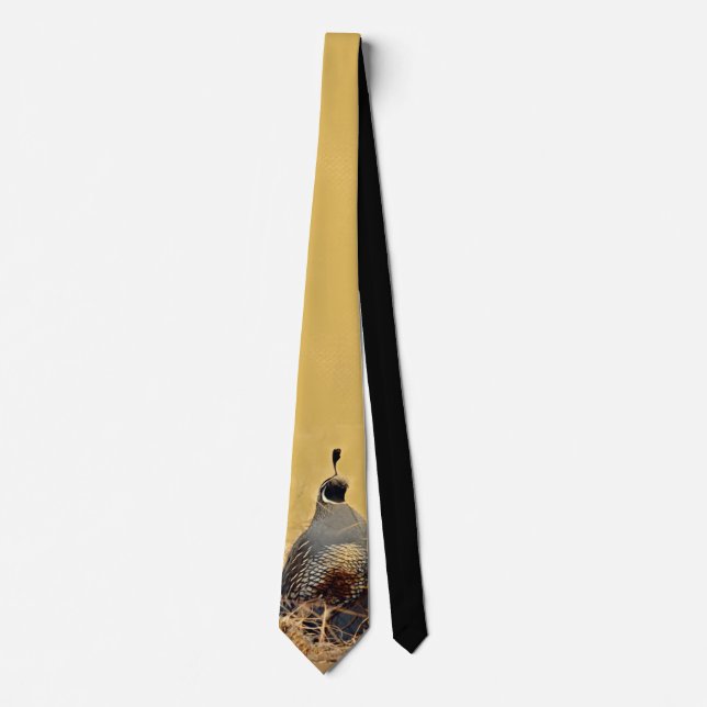 Gravata Codorniz do vale (Califórnia) (Frente)