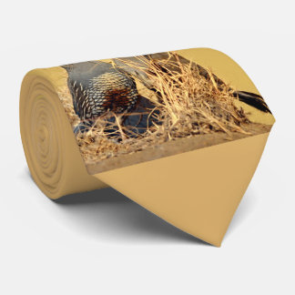 Gravata Codorniz do vale (Califórnia)