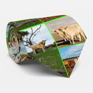 Gravata Colagem de Vaca Highland com Três Imagens,
