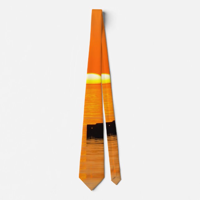 Gravata Coletor de Pescoço Laranja ascensão (Frente)