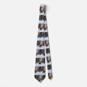 Gravata Collie, deixa nevar o Natal