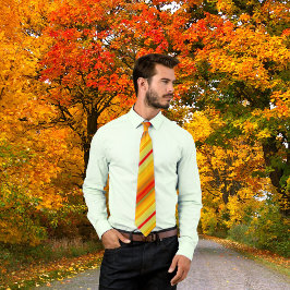 Gravata Colorida Gravação Geométrica De Padrões