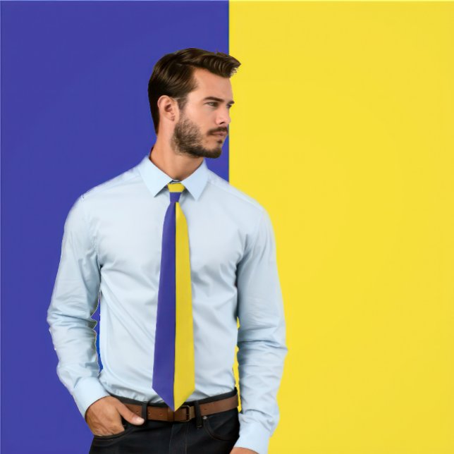 Gravata com Design de Cores Divididas Azul e Doura (Man wears a Blue & Gold Split Color Design Neck Tie.)