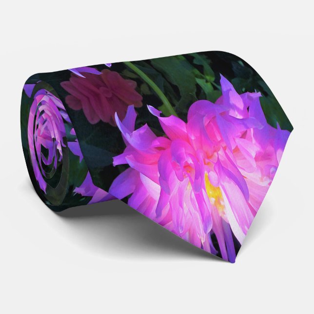 Gravata Cor-de-rosa estonteante e cacto roxo Dahlia (Rolled)