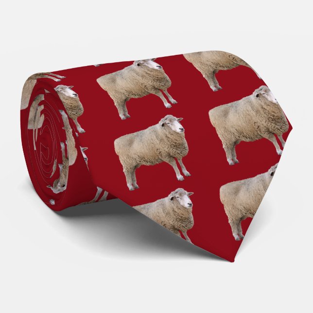 Gravata Corriedale sheep (Rolled)