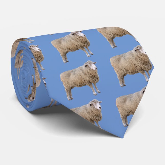 Gravata Corriedale sheep (Rolled)