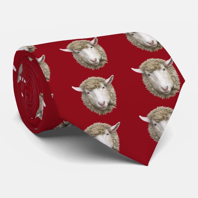 Gravata Corriedale sheep (Rolled)