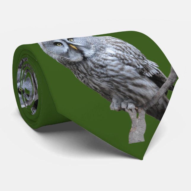 Gravata Coruja de Cinzas excelentes (Rolled)