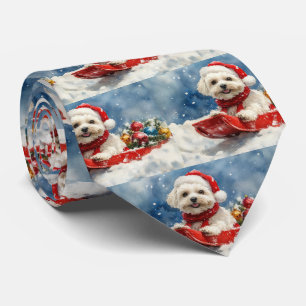 Gravata Coton De Tulear em Sledge Deixe nevar o Natal