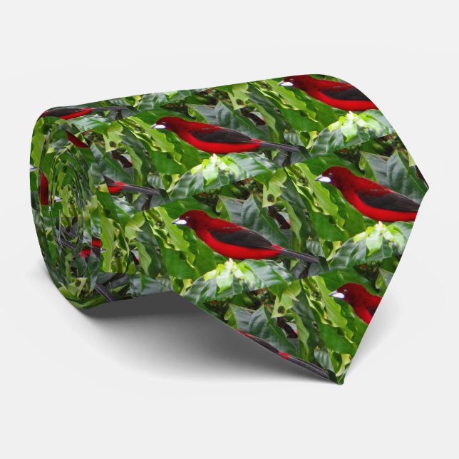 Gravata Crimson apadrinhou Tie Homens (Rolled)