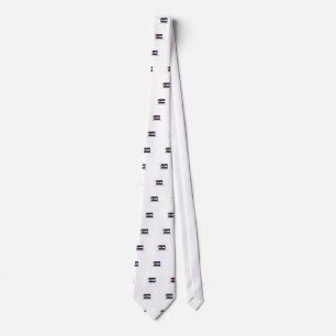 GRAVATA CTR NORTE DA MISSÃO LDS DE COLORADO DENVER