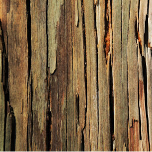 Gravata Custom Wood Art Tie