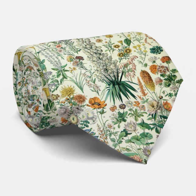 Gravata Cute Floral Botanical Drawing by Adolphe Millot (Rolled)