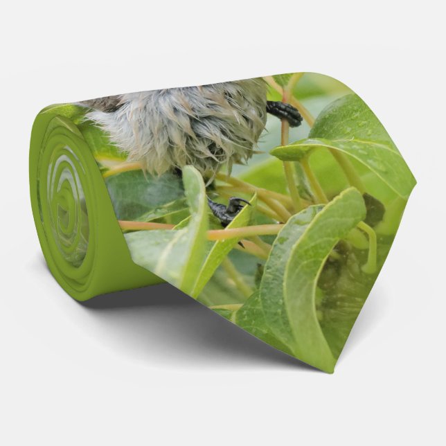 Gravata Cute Wet Wee Bushtit no Laurel (Rolled)