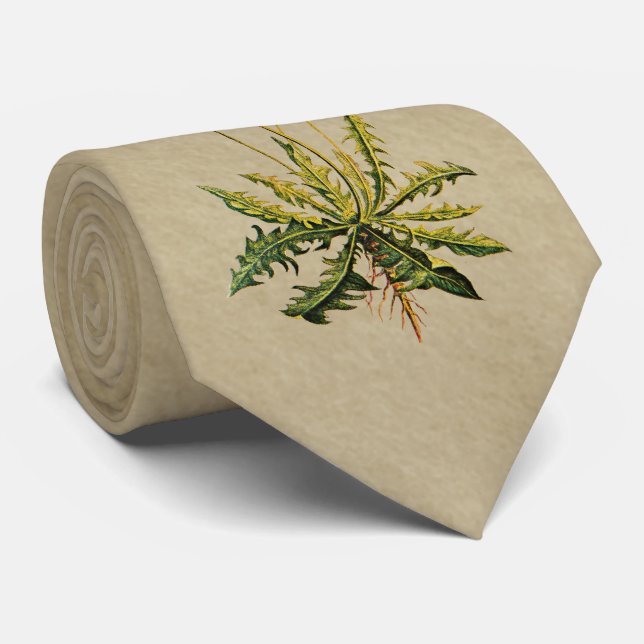 Gravata Dandelion Em Papel Antigo (Rolled)