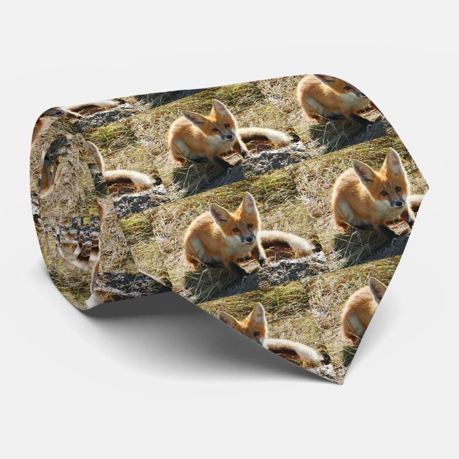 Gravata de Red Fox Men (Rolled)