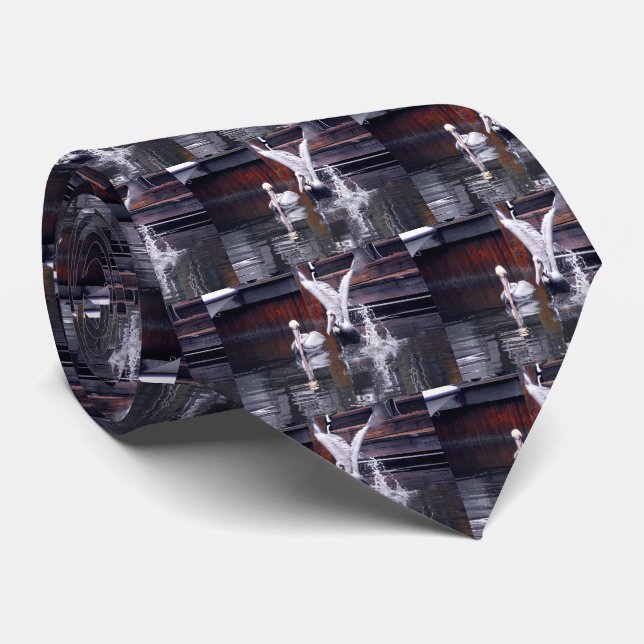 Gravata Decolagem do pelicano (Rolled)