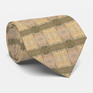 Gravata Desert Cactus Plants On Wood Grain Photo Image