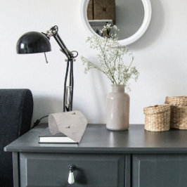 Gravata Deserto Lizard sobre Cinza Foto de Til