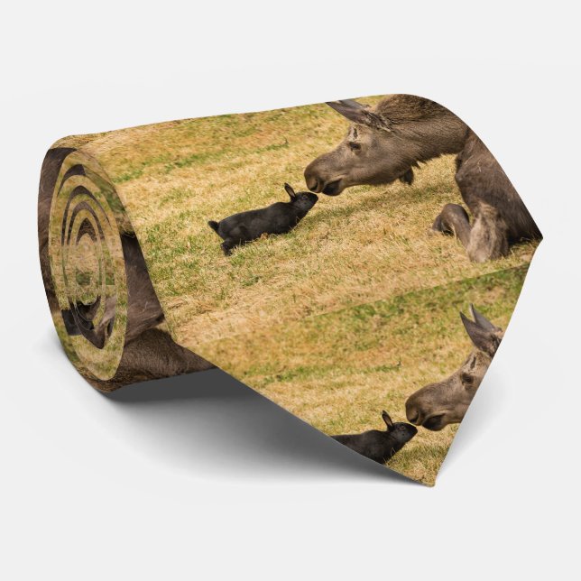 Gravata Diversidade (Rolled)