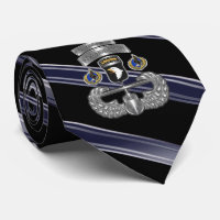 Divisão de Transporte Aéreo de ruas 101