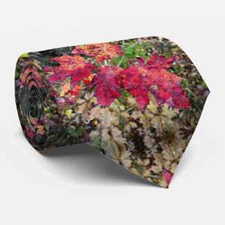 Gravata do pescoço/padrão das folhas do outono