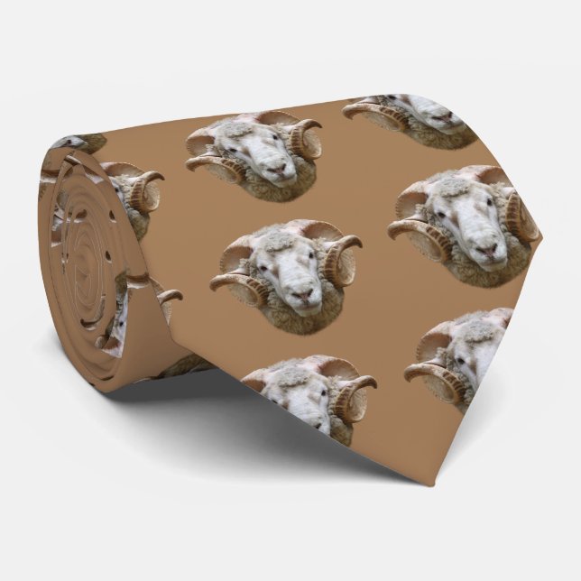 Gravata Dorset Horn (Rolled)