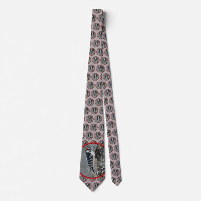 Gravata Downy Woodpecker em Neve - Foto Original (Frente)