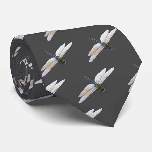 Gravata Dragonfly (Rolled)