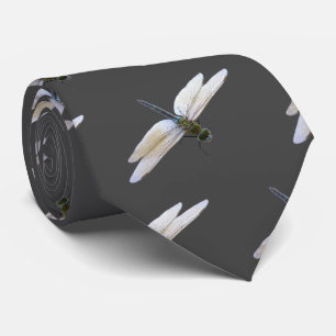 Gravata Dragonfly