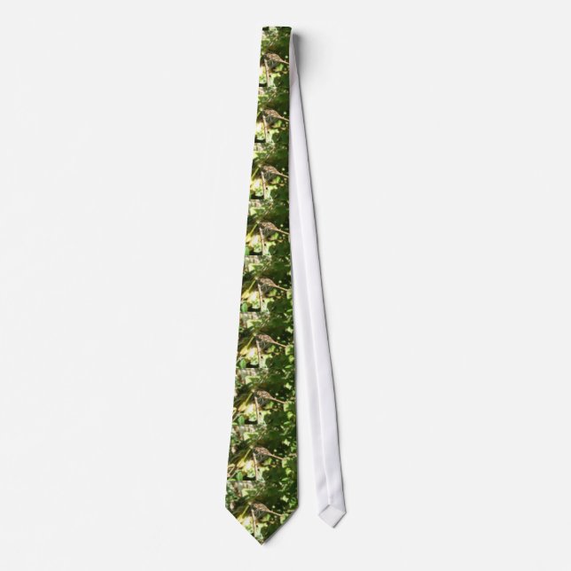Gravata Dragonfly em um Tie Twig (Frente)