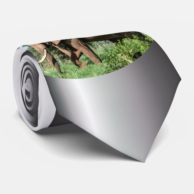 Gravata Elefante Africano no Safari (Rolled)