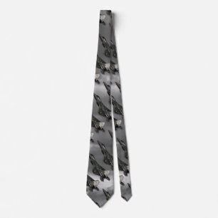 GRAVATA F-22 RAPTOR NECK TIE