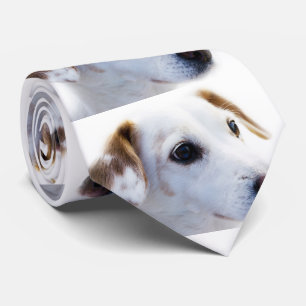 Gravata Faça seu próprio laço