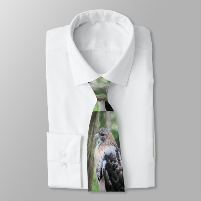 Gravata Falcão-de-cauda-vermelha (Amarrado)