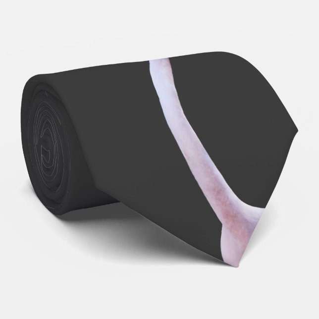 Gravata Feisty Flamingo Tie (Cinza Escura) (Rolled)