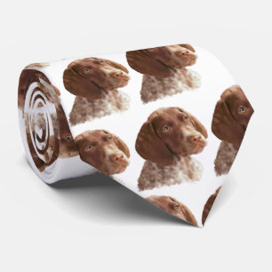 Gravata Filhote de cachorro de Shorthair do alemão