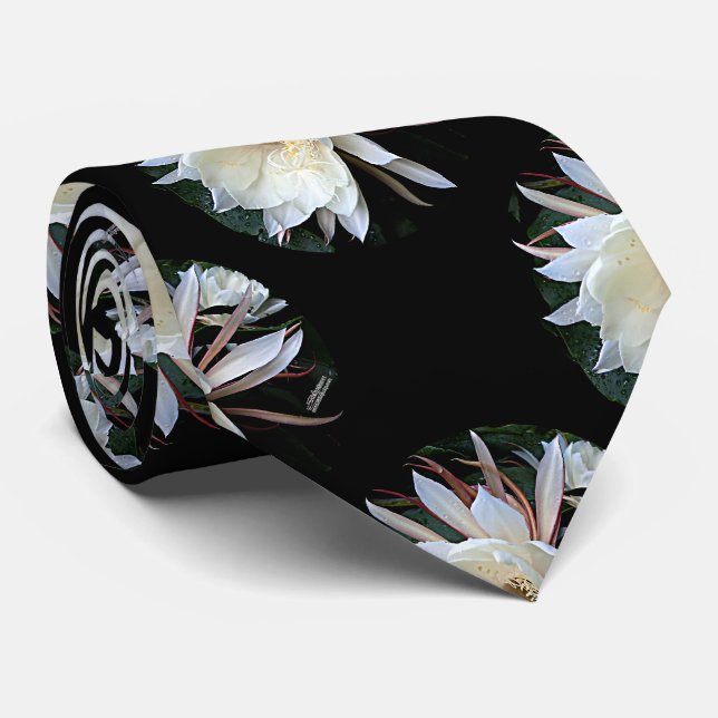 Gravata Flor De Cactus Epífitas (Rolled)