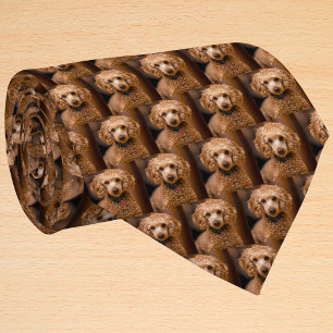 Gravata Foto de Cão Personalizada