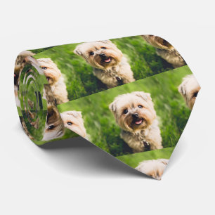 Gravata Foto personalizada de cão de estimação
