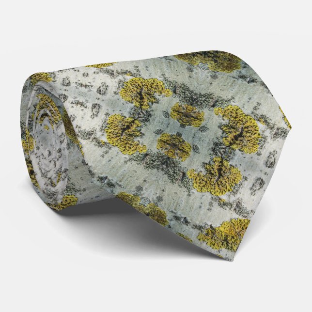 Gravata Foto Real Do Padrão De Textura Do Latido Aspen (Rolled)